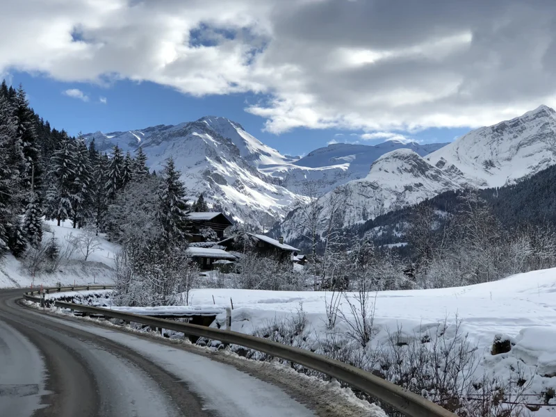 Gallery preview photo 3